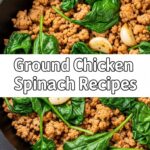 Ground Chicken Spinach Recipes