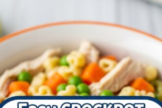Easy Crockpot Recipes For Picky Eaters Slow Cooker Chicken