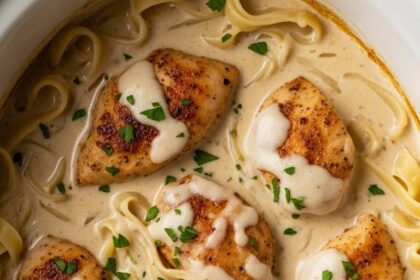 Chicken Alfredo Slow Cooker Recipes