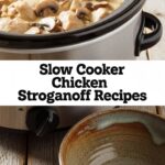Slow Cooker Chicken Stroganoff Recipes