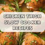 Chicken Thigh Slow Cooker Recipes