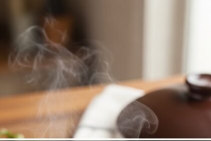 Chicken Breast Slow Cooker Recipes