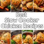 Best Slow Cooker Chicken Recipes