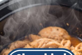 Shredded Chicken Slow Cooker Recipes