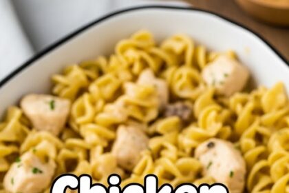 Chicken Casserole With Noodles Easy Recipes