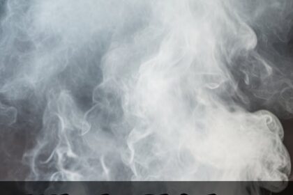 Whole Chicken Recipes Bbq