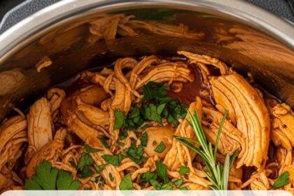 Insta Pot Rotisserie Chicken Recipes