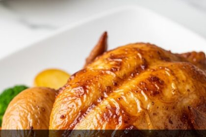 Rotisserie Chicken Air Fryer Recipes