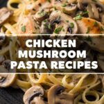 Chicken Mushroom Pasta Recipes