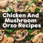 Chicken And Mushroom Orzo Recipes