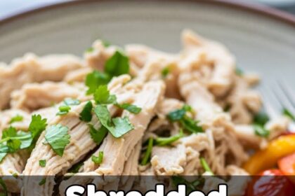 Shredded Chicken Recipes Healthy Easy