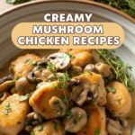 Creamy Mushroom Chicken Recipes
