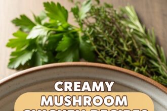 Creamy Mushroom Chicken Recipes