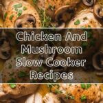 Chicken And Mushroom Slow Cooker Recipes