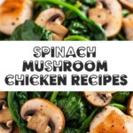 Spinach Mushroom Chicken Recipes