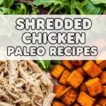 Shredded Chicken Paleo Recipes