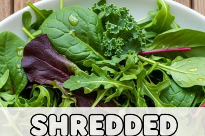 Shredded Chicken Paleo Recipes