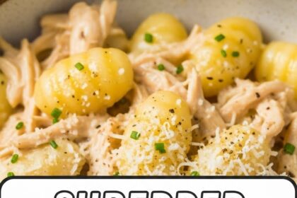 Shredded Chicken Gnocchi Recipes