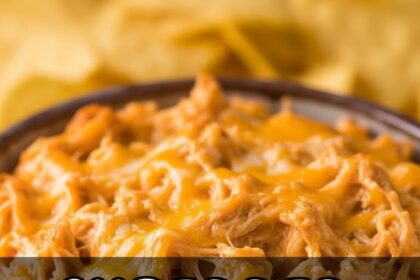 Shredded Chicken Dip Recipes Easy