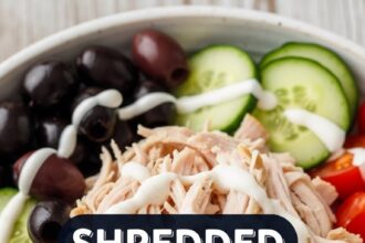 Shredded Chicken Mediterranean Recipes
