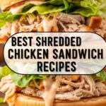 Best Shredded Chicken Sandwich Recipes
