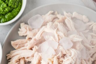 Frozen Shredded Chicken Recipes