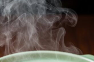 Chinese Chicken Gravy Recipes