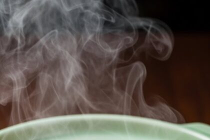 Chinese Chicken Gravy Recipes