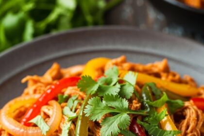 Shredded Mexican Chicken Recipes