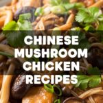 Chinese Mushroom Chicken Recipes