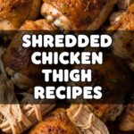 Shredded Chicken Thigh Recipes