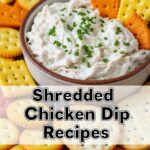Shredded Chicken Dip Recipes