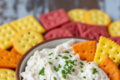 Shredded Chicken Dip Recipes