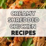 Creamy Shredded Chicken Recipes
