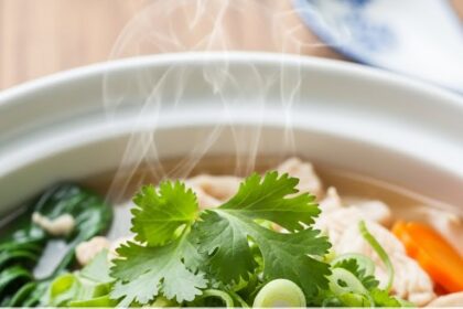 Chinese Chicken Soup Recipes