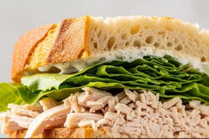 Shredded Chicken Sandwich Recipes