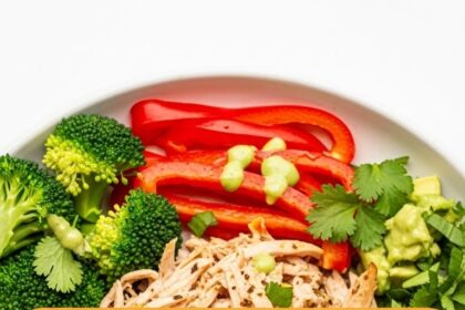 Shredded Chicken Low Carb Recipes