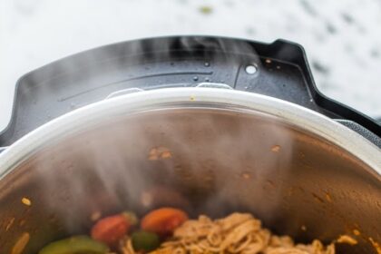 Chicken Instant Pot Recipes Shredded