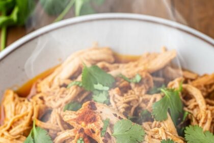 Instant Pot Recipes Shredded Chicken