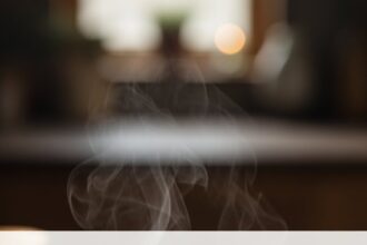 Leftover Chicken And Mushroom Recipes