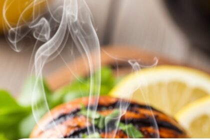 Fast Grilled Chicken Recipes