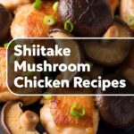 Shiitake Mushroom Chicken Recipes