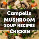 Campbells Mushroom Soup Recipes Chicken