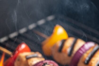 Grilled Chicken Kebab Recipes