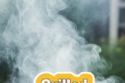 Grilled Chicken Recipes On Grill