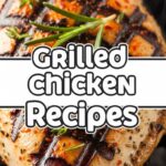 Grilled Chicken Recipes