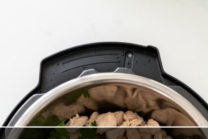 Leftover Chicken Instant Pot Recipes