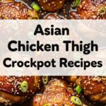 Asian Chicken Thigh Crockpot Recipes