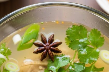 Asian Chicken Broth Recipes