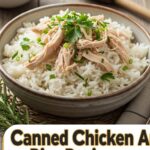 Canned Chicken And Rice Recipes
